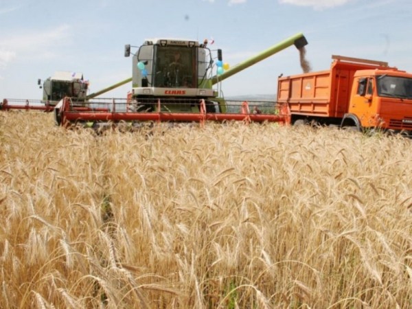 Депутат Госдумы Иван Демченко намерен изучить состояние АПК Кубани в условиях засухи