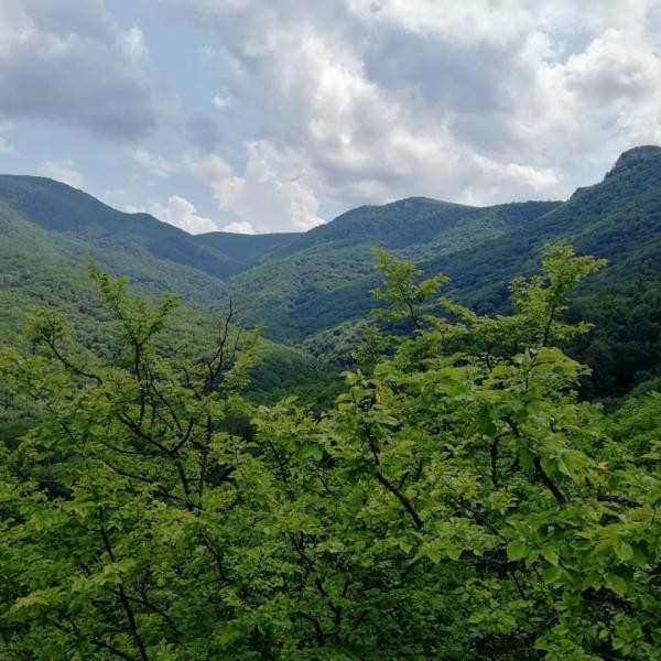 Под Сочи пропала группа туристов из 11 человек