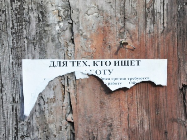 Как пандемия коронавируса "ударила" по рынку труда на Кубани Как пандемия коронавируса "ударила" по рынку труда на Кубани