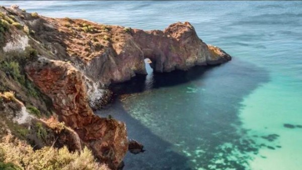 «Роснефть» представит курс лекций по биологии Чёрного и Азовского морей «Роснефть» представит курс лекций по биологии Чёрного и Азовского морей