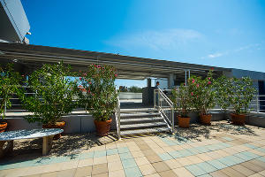 Среда обитания. В Краснодаре появился еще один офис мечты Среда обитания. В Краснодаре появился еще один офис мечты