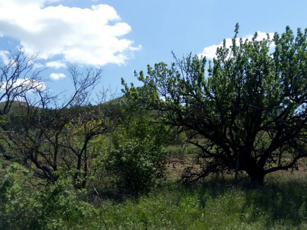 Сезон охоты стартует в Краснодарском крае