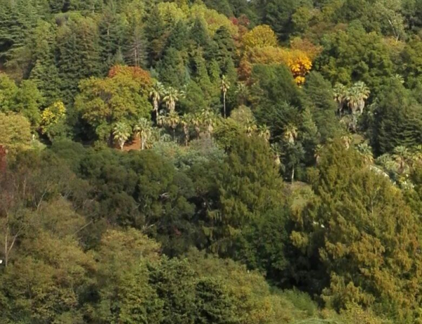 В Краснодарском крае продлили запрет на посещение лесов