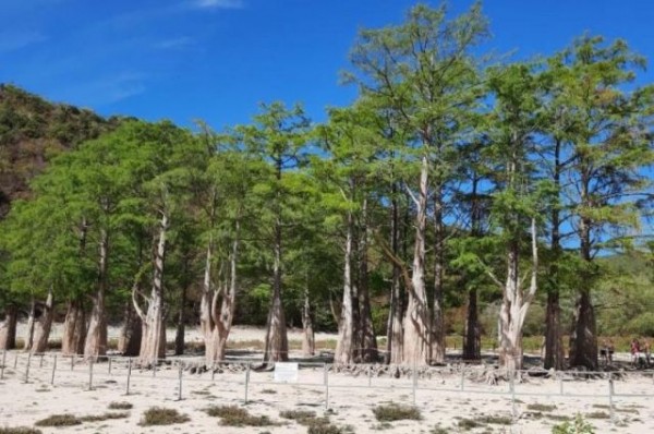 Эксперты прогнозируют восстановление пересохших водоемов Кубани к ноябрю Эксперты прогнозируют восстановление пересохших водоемов Кубани к ноябрю