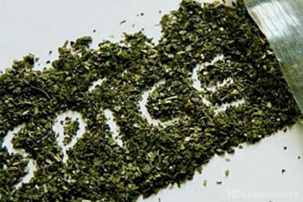 Очередные наркоторговцы были пойманы в Краснодаре