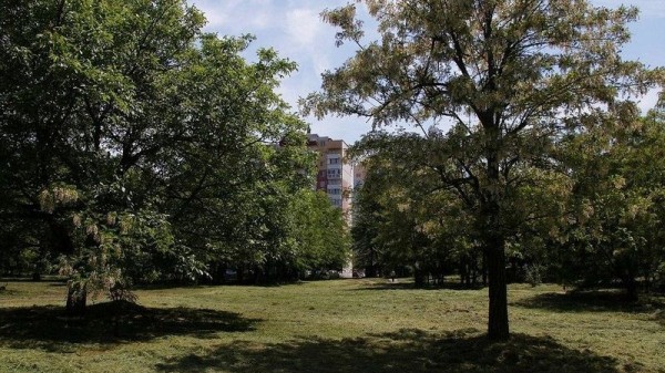 Благоустройство парка в Молодёжном микрорайоне Краснодара начнут в 2021 году