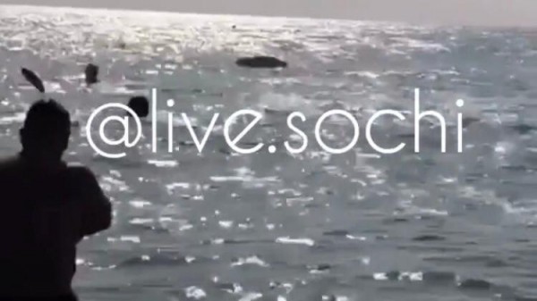 В Сочи на море летающая рыба накинулась на туристов (ВИДЕО) 