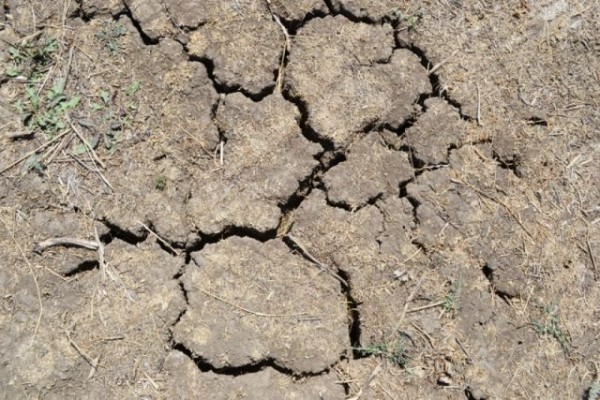 В Новороссийске пересохло Владимирское водохранилище В Новороссийске пересохло Владимирское водохранилище