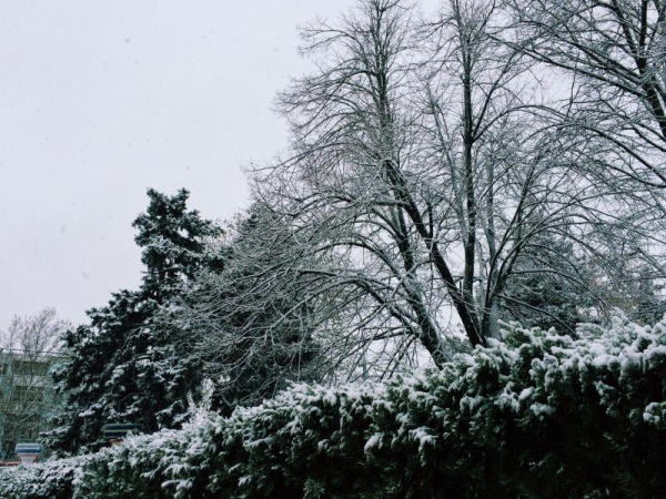 Курорты Кубани практически полностью будут заполнены в зимние праздники