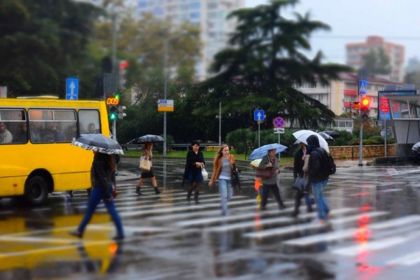 Давайте разберемся: Какие законы с 1 ноября изменят жизнь россиян? 