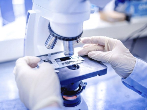 За сутки на Кубани выявлено 105 новых случаев коронавируса За сутки на Кубани выявлено 105 новых случаев коронавируса