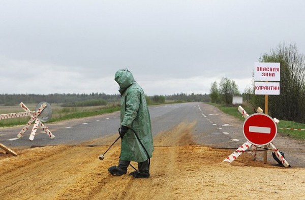 Стало известно о закрытии границ между регионами России из-за коронавируса