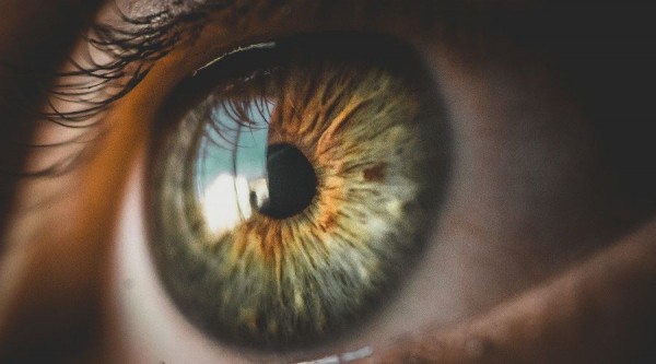 В поле зрения. Тест про глаза, солнце, морковь и коррекцию