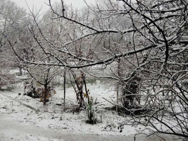 В Крыму на следующей недели ожидают первый снег В Крыму на следующей недели ожидают первый снег