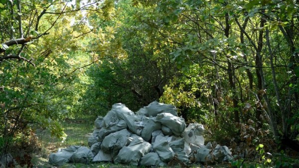 В 2020 году в Краснодаре ликвидировали 220 стихийных свалок