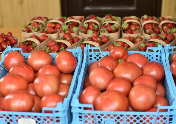 На первом национальном конкурсе «Вкусы России» Кубань представит свои гастрономические бренды На первом национальном конкурсе «Вкусы России» Кубань представит свои гастрономические бренды