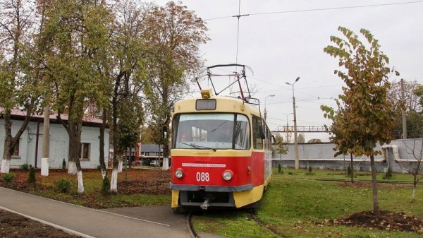 В Западное трамвайное депо Краснодара пересадили 64 липы с улицы Московской