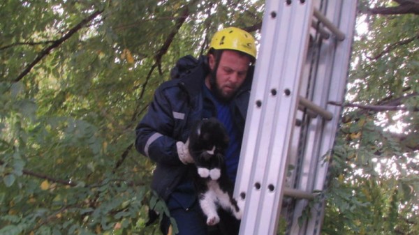 Служба спасения Краснодара за неделю выполнила 35 аварийно-спасательных работ Служба спасения Краснодара за неделю выполнила 35 аварийно-спасательных работ