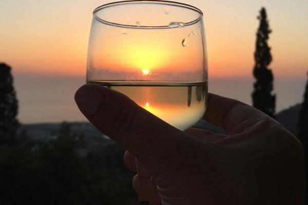 Туристам Сочи предлагают новый тур "Винные дороги Боспорского царства"