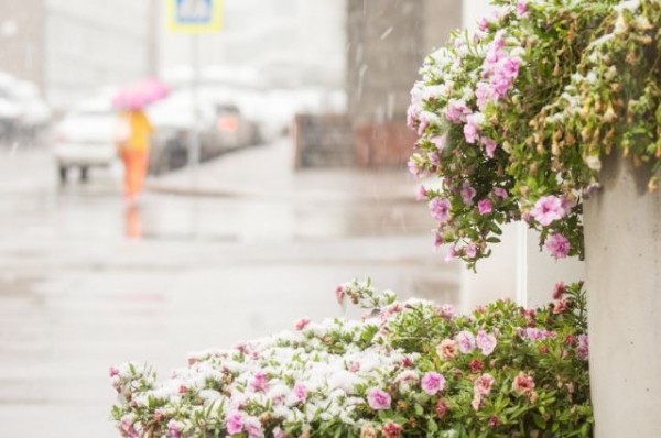 В Сочи прогнозируется мокрый снег и гололедица В Сочи прогнозируется мокрый снег и гололедица