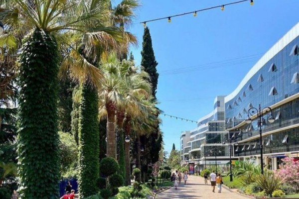 Российская туристка рассказала, где и как не стоит отдыхать в Сочи Российская туристка рассказала, где и как не стоит отдыхать в Сочи