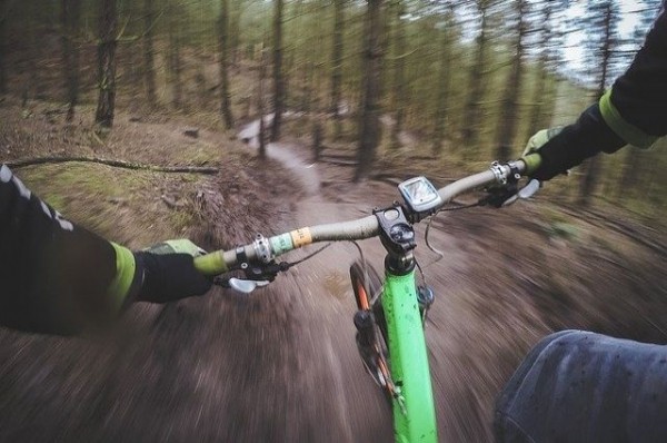 Велосипедист с собакой намерен преодолеть 2,8 тыс. км по пути в Сочи Велосипедист с собакой намерен преодолеть 2,8 тыс. км по пути в Сочи