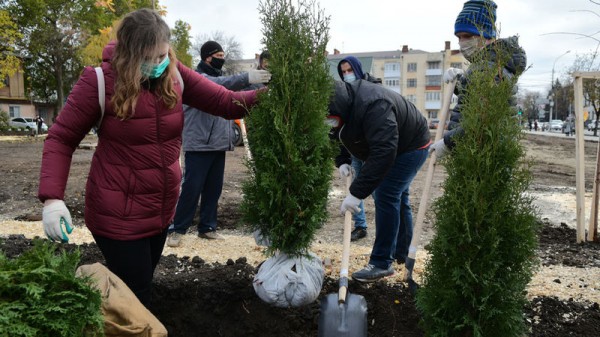 В будущем сквере на углу улиц Постовой и им. Седина Краснодара высадили 180 деревьев В будущем сквере на углу улиц Постовой и им. Седина Краснодара высадили 180 деревьев