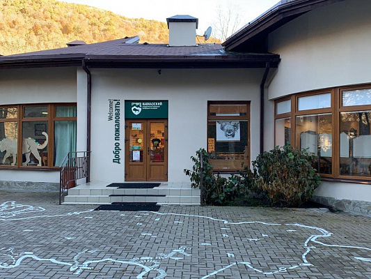 Новогоднюю программу для туристов готовит Кавказский заповедник 