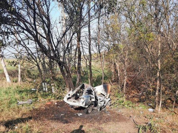 На Кубани легковушка после столкновения с иномаркой влетела в дерево и сгорела
