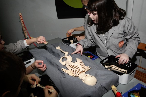 «Мир таков, что надо учиться постоянно». Интервью с руководителем проекта «Умный Краснодар» Серафимой Чичевой