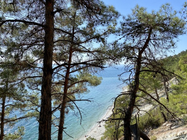 Зеленое место. Территории Геленджика стали частью природного парка «Маркотх» Зеленое место. Территории Геленджика стали частью природного парка «Маркотх»