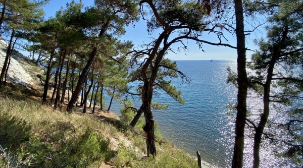 Зеленое место. Территории Геленджика стали частью природного парка «Маркотх» Зеленое место. Территории Геленджика стали частью природного парка «Маркотх»