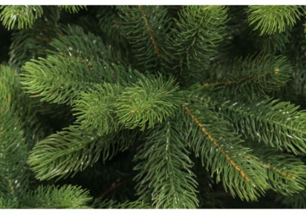 Глава Кубани призвал жителей края соблюдать все меры безопасности на рождественских ярмарках Глава Кубани призвал жителей края соблюдать все меры безопасности на рождественских ярмарках