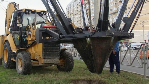 В Краснодаре пересадили большую часть лип с улицы Московской В Краснодаре пересадили большую часть лип с улицы Московской