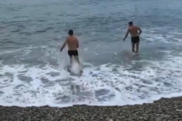 &laquo;Вот откуда берутся коронавирусники&raquo;: купание туристов в декабре вызвало возмущение у местных (ВИДЕО) 
