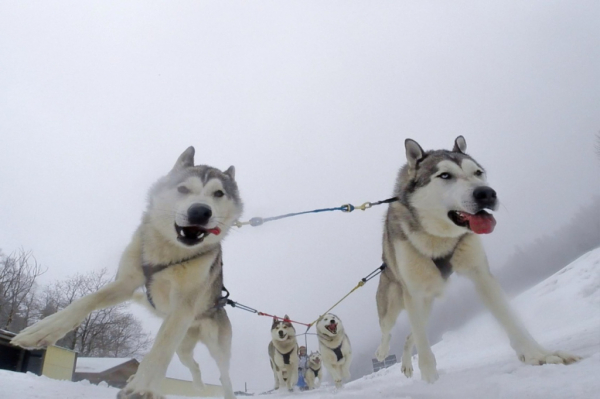 В Кавказском заповеднике открыт первый зимний маршрут 