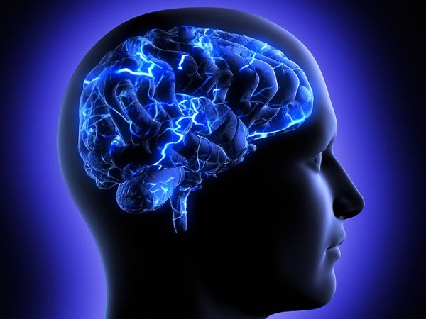 Ученые обнаружили с помощью суперкомпьютера сверхспособности человеческого мозга Ученые обнаружили с помощью суперкомпьютера сверхспособности человеческого мозга