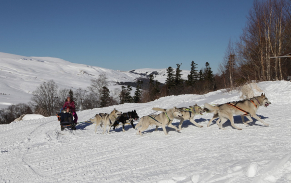 В Кавказском заповеднике открыт первый зимний маршрут 