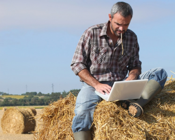 Досье сообществ Краснодарского края: фермеры Досье сообществ Краснодарского края: фермеры