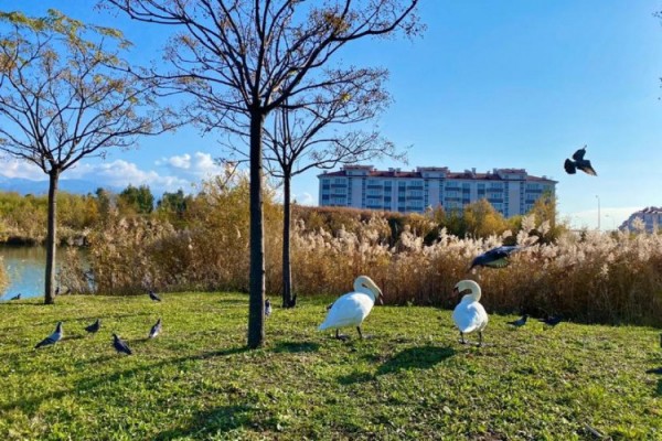 Туристка рассказала, как бесплатный парк в Сочи со скучным названием оказался невероятным местом с красивым видом на горы Туристка рассказала, как бесплатный парк в Сочи со скучным названием оказался невероятным местом с красивым видом на горы