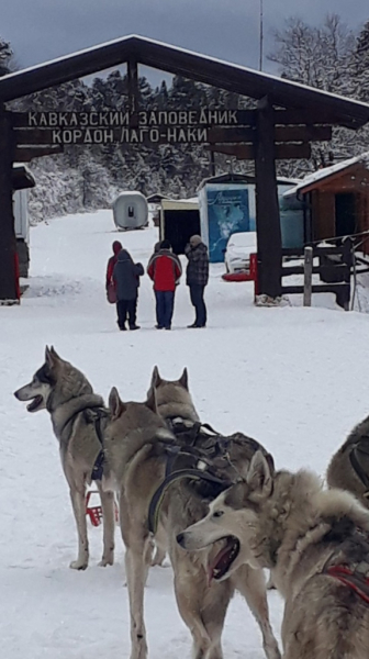 В Кавказском заповеднике открыт первый зимний маршрут 