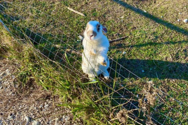 Туристка рассказала, как бесплатный парк в Сочи со скучным названием оказался невероятным местом с красивым видом на горы Туристка рассказала, как бесплатный парк в Сочи со скучным названием оказался невероятным местом с красивым видом на горы