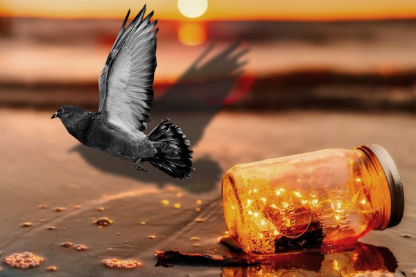 Криминальные итоги &mdash; 2020. Самые громкие дела и приговоры в Краснодарском крае и Адыгее