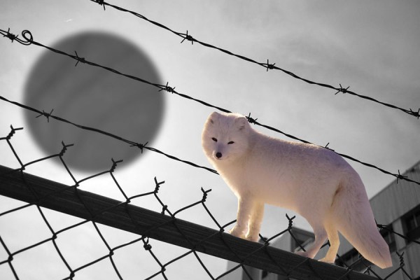 Криминальные итоги &mdash; 2020. Самые громкие дела и приговоры в Краснодарском крае и Адыгее