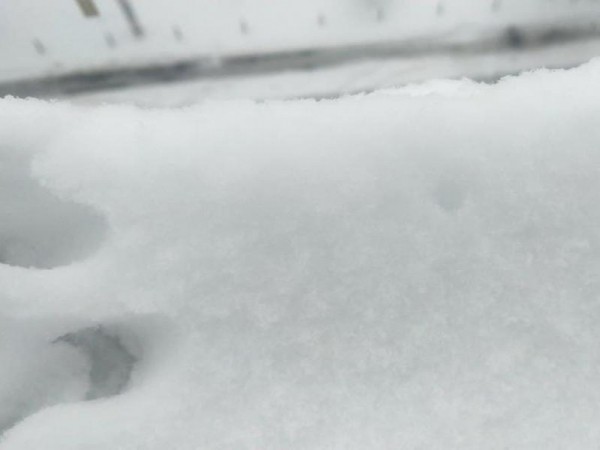 Сильные снегопады ожидаются на Черноморском побережье Краснодарского края