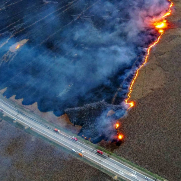 В Краснодарском крае перекрыли федеральную трассу из-за распространения природного пожара В Краснодарском крае перекрыли федеральную трассу из-за распространения природного пожара