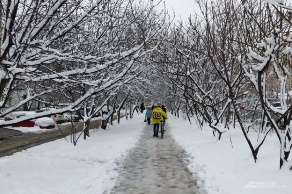 В Краснодарском крае спрогнозировали до 25 градусов мороза В Краснодарском крае спрогнозировали до 25 градусов мороза