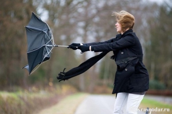 Два дня в Краснодаре будет непогода Два дня в Краснодаре будет непогода