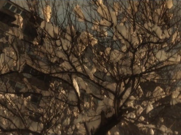 17 января в Краснодарском крае выпала треть среднемесячной нормы осадков