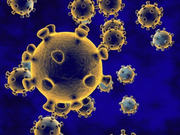 Статистика коронавируса на Кубани: 15 умерших за сутки Статистика коронавируса на Кубани: 15 умерших за сутки